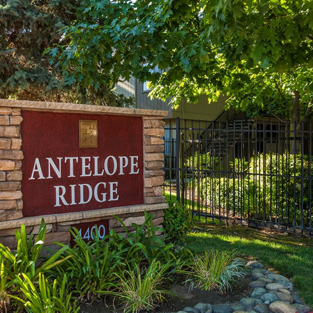 Antelope Ridge Apartments Apartments In Antelope CA